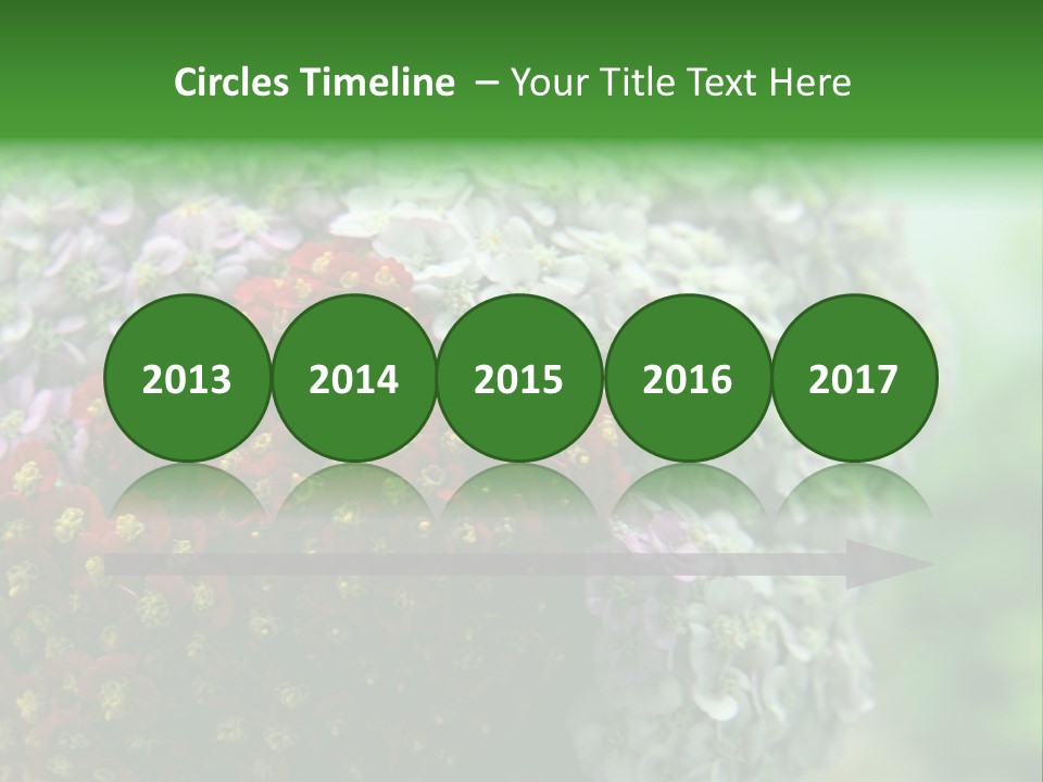 Wild Flowers Pink Yarrow Colorful Flowers PowerPoint Template