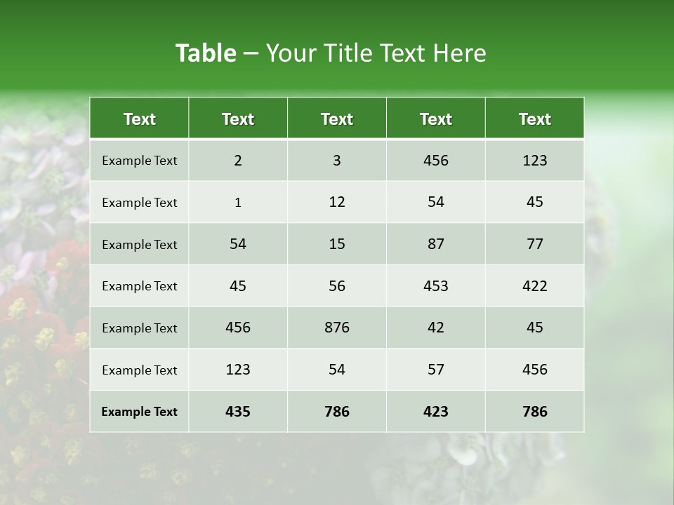 Wild Flowers Pink Yarrow Colorful Flowers PowerPoint Template