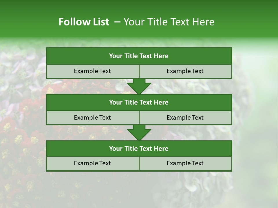 Wild Flowers Pink Yarrow Colorful Flowers PowerPoint Template