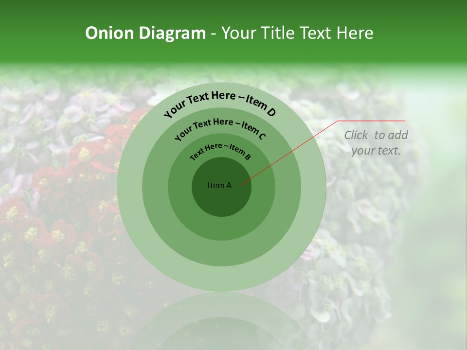 Wild Flowers Pink Yarrow Colorful Flowers PowerPoint Template