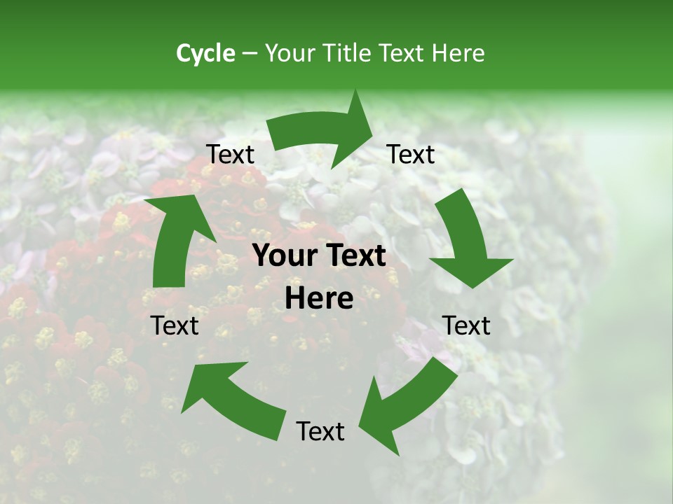 Wild Flowers Pink Yarrow Colorful Flowers PowerPoint Template