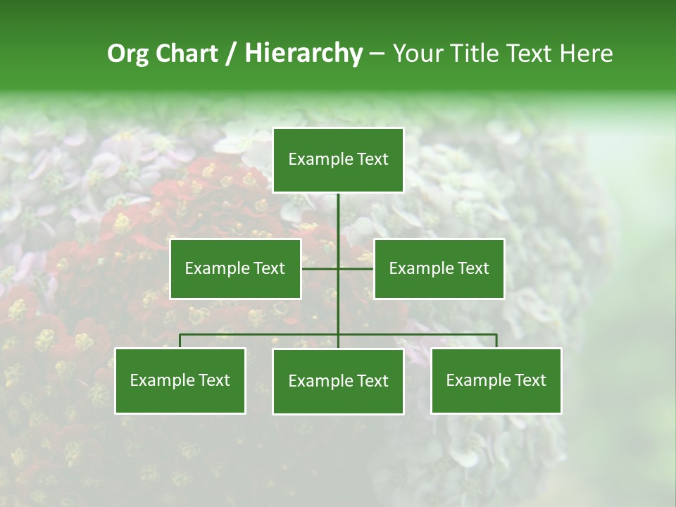 Wild Flowers Pink Yarrow Colorful Flowers PowerPoint Template