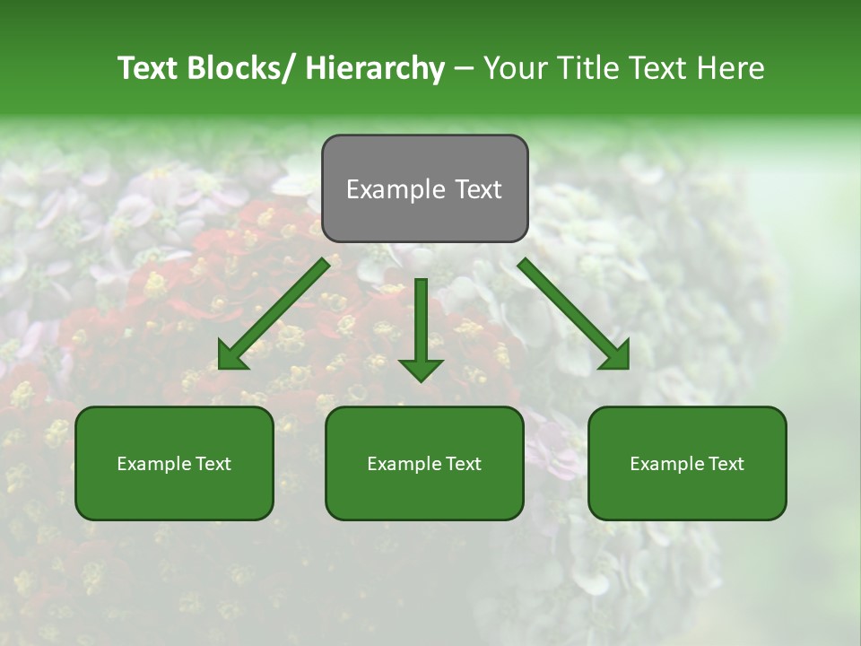 Wild Flowers Pink Yarrow Colorful Flowers PowerPoint Template