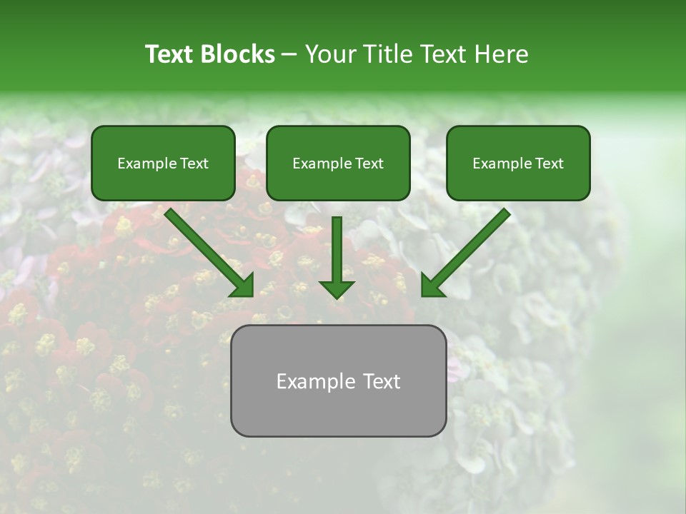 Wild Flowers Pink Yarrow Colorful Flowers PowerPoint Template
