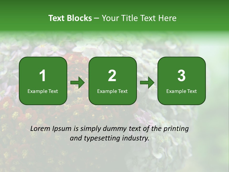 Wild Flowers Pink Yarrow Colorful Flowers PowerPoint Template