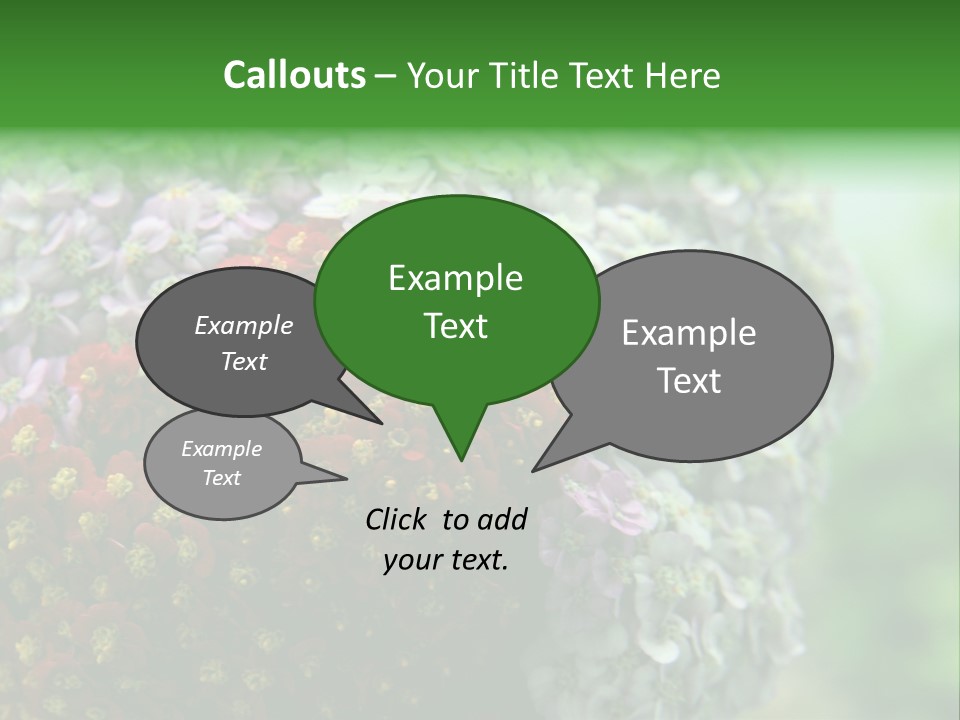 Wild Flowers Pink Yarrow Colorful Flowers PowerPoint Template