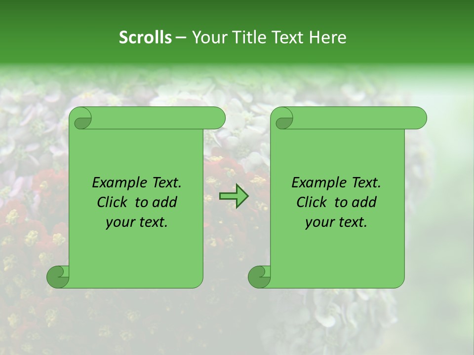 Wild Flowers Pink Yarrow Colorful Flowers PowerPoint Template