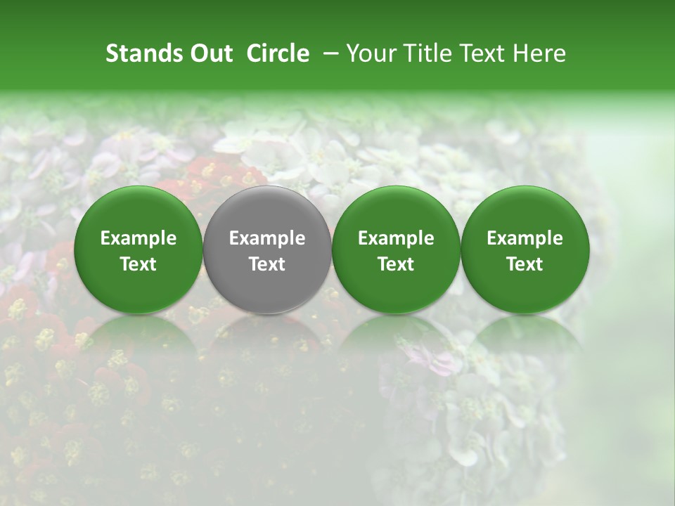 Wild Flowers Pink Yarrow Colorful Flowers PowerPoint Template