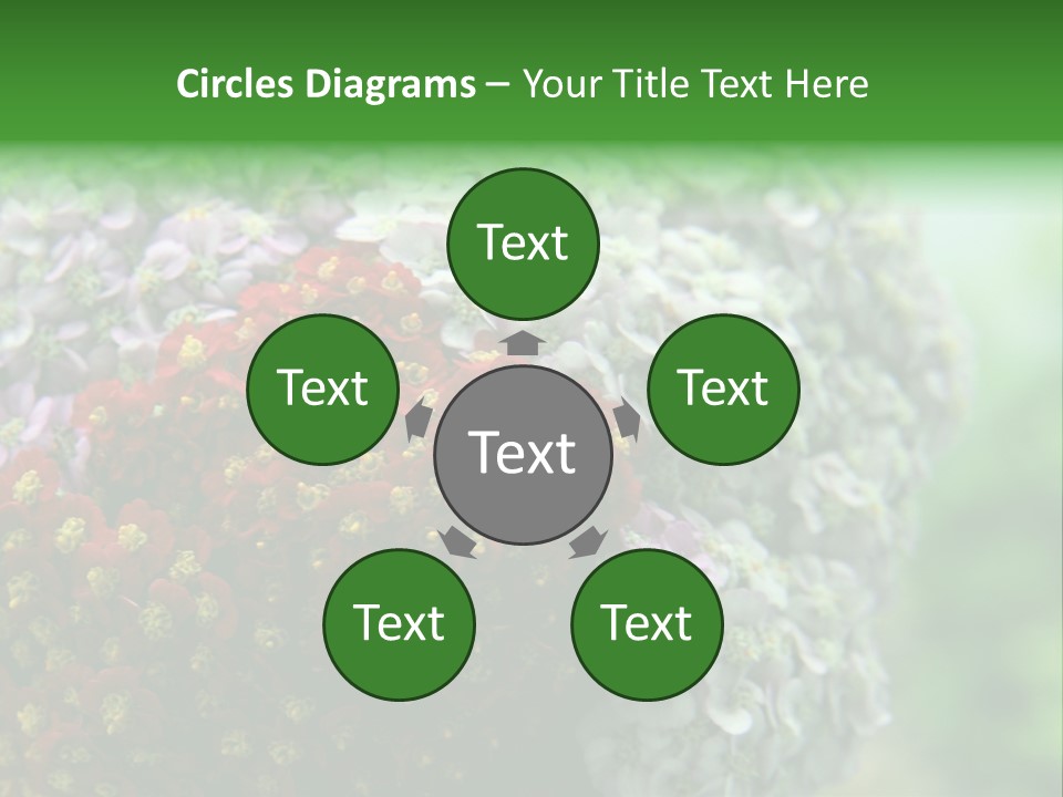 Wild Flowers Pink Yarrow Colorful Flowers PowerPoint Template