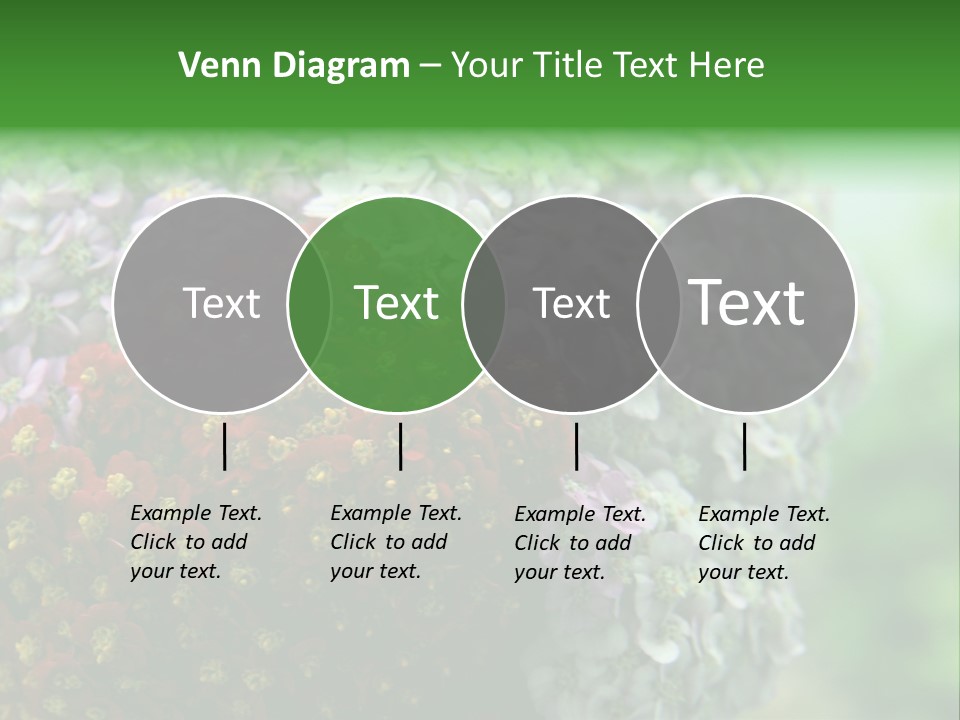 Wild Flowers Pink Yarrow Colorful Flowers PowerPoint Template