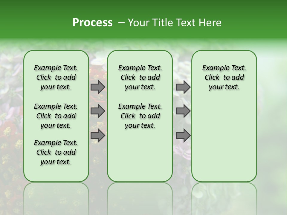 Wild Flowers Pink Yarrow Colorful Flowers PowerPoint Template