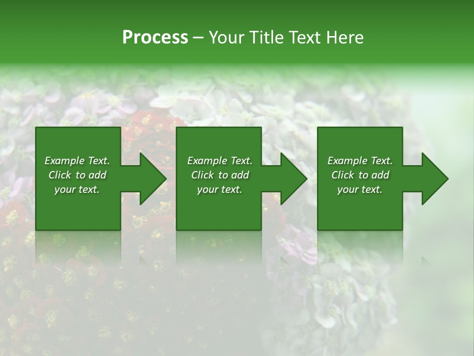 Wild Flowers Pink Yarrow Colorful Flowers PowerPoint Template