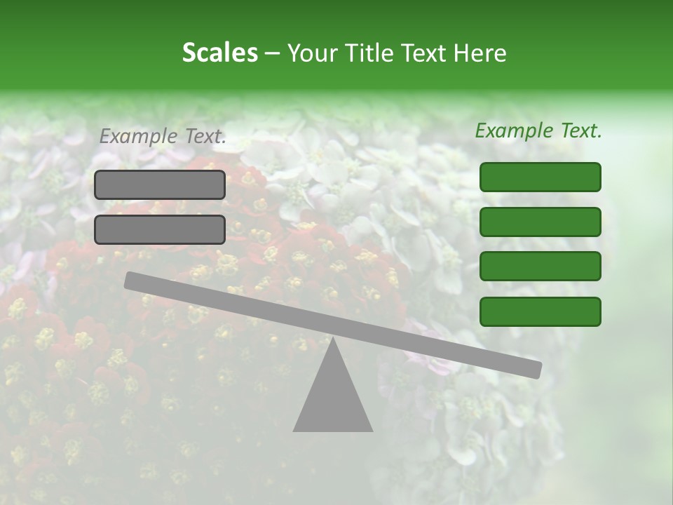 Wild Flowers Pink Yarrow Colorful Flowers PowerPoint Template