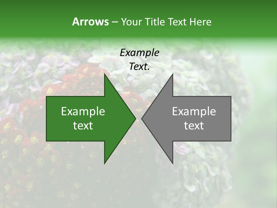 Wild Flowers Pink Yarrow Colorful Flowers PowerPoint Template