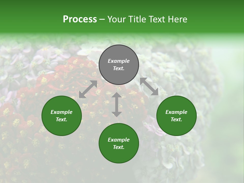 Wild Flowers Pink Yarrow Colorful Flowers PowerPoint Template