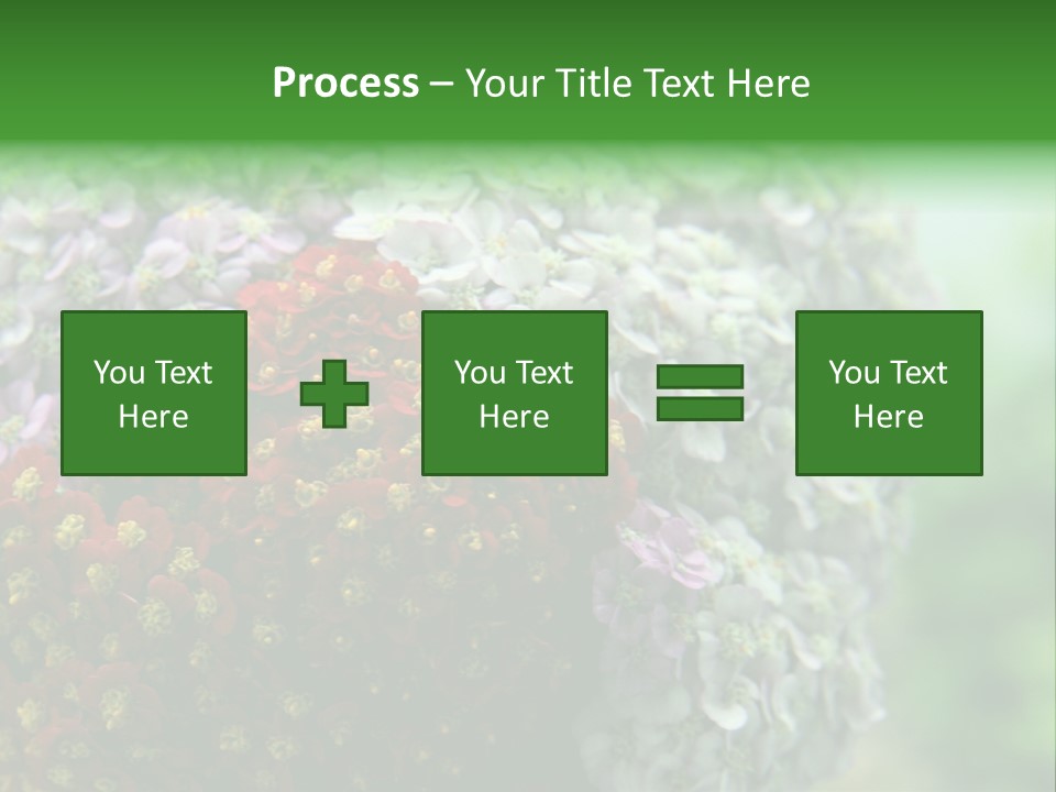 Wild Flowers Pink Yarrow Colorful Flowers PowerPoint Template