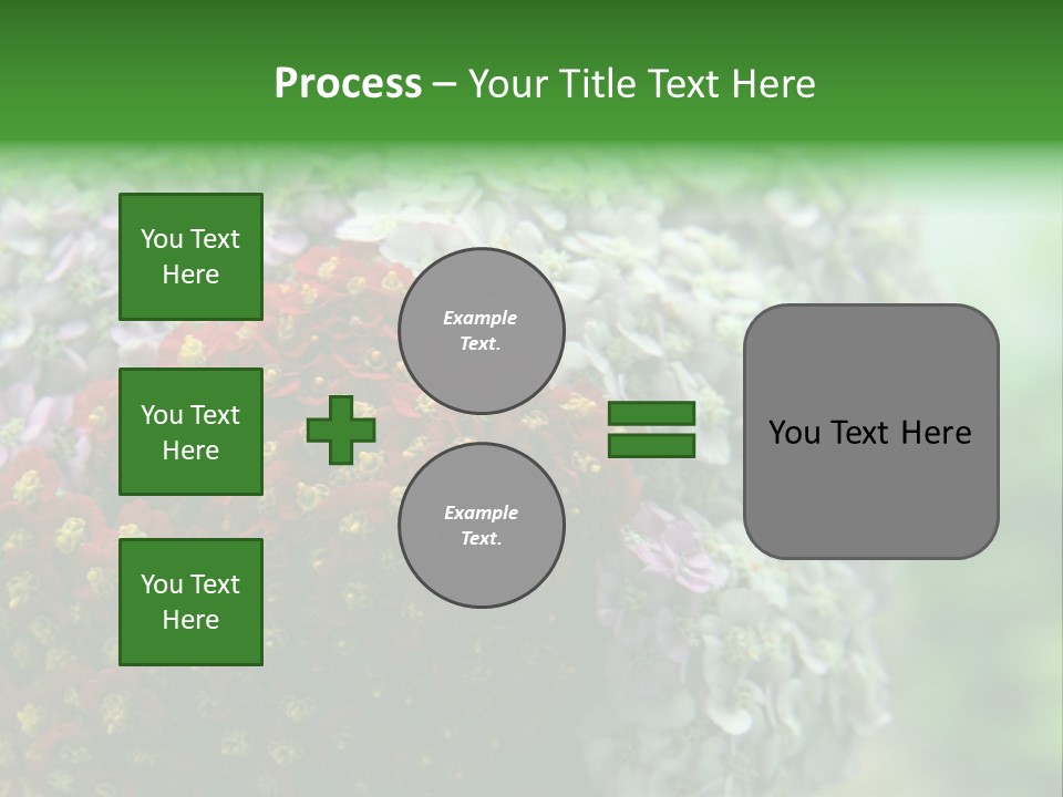 Wild Flowers Pink Yarrow Colorful Flowers PowerPoint Template