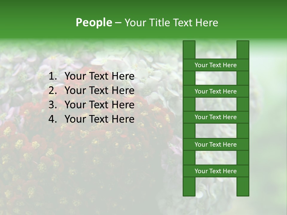 Wild Flowers Pink Yarrow Colorful Flowers PowerPoint Template