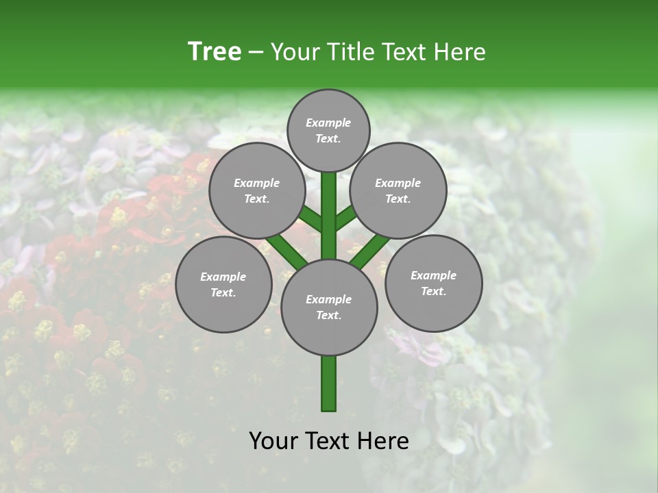 Wild Flowers Pink Yarrow Colorful Flowers PowerPoint Template