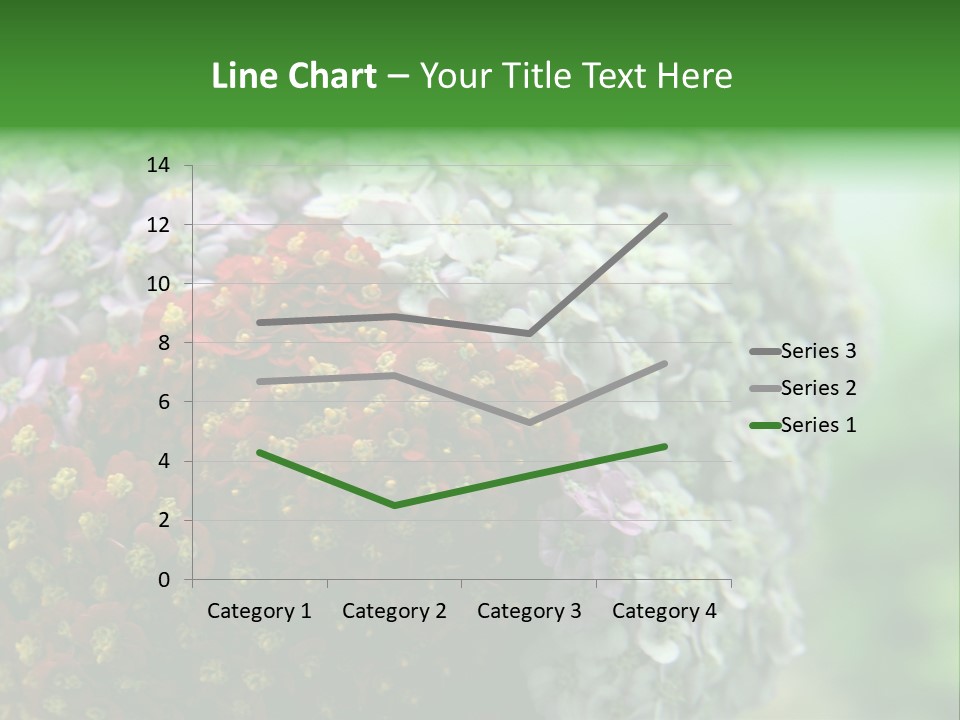 Wild Flowers Pink Yarrow Colorful Flowers PowerPoint Template