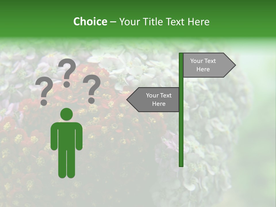 Wild Flowers Pink Yarrow Colorful Flowers PowerPoint Template