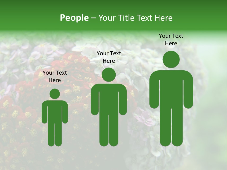 Wild Flowers Pink Yarrow Colorful Flowers PowerPoint Template