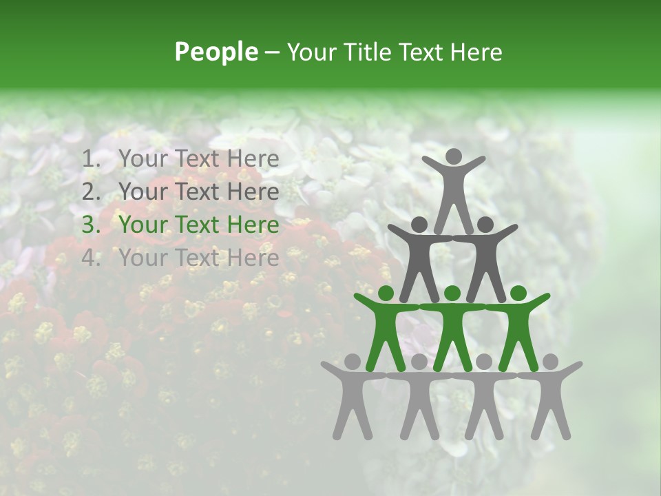 Wild Flowers Pink Yarrow Colorful Flowers PowerPoint Template