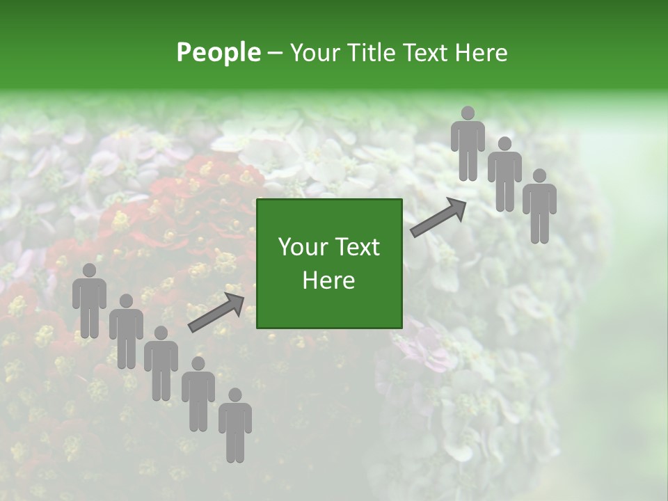 Wild Flowers Pink Yarrow Colorful Flowers PowerPoint Template