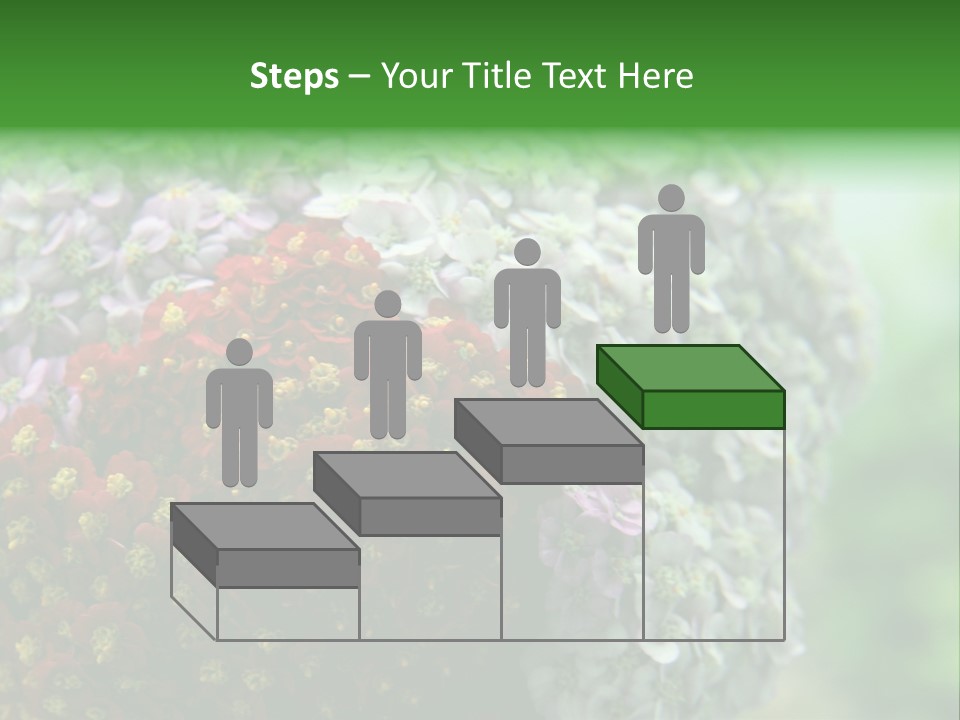 Wild Flowers Pink Yarrow Colorful Flowers PowerPoint Template