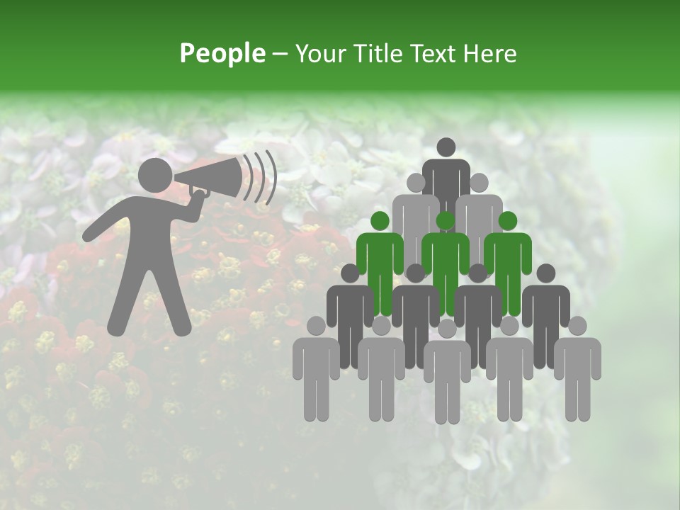 Wild Flowers Pink Yarrow Colorful Flowers PowerPoint Template