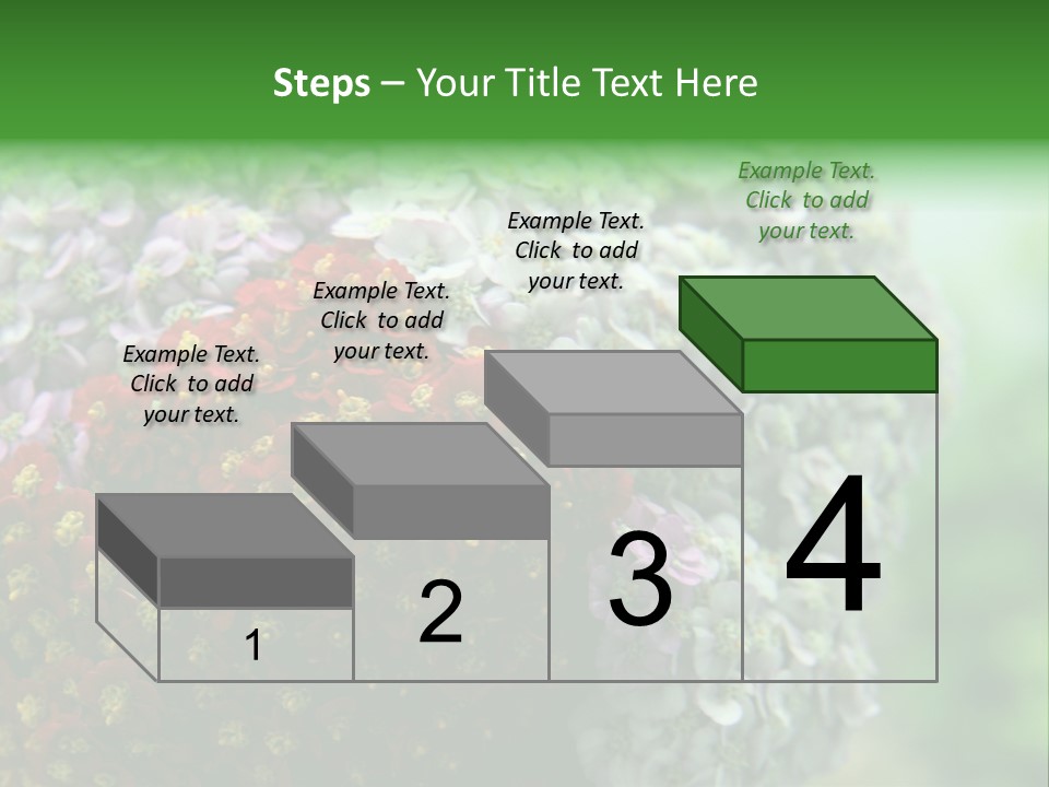 Wild Flowers Pink Yarrow Colorful Flowers PowerPoint Template