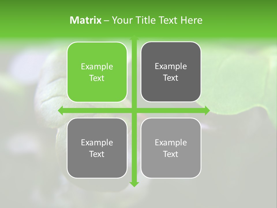 Macro Shot Of Micro Greens Micronutrients Micro Greens PowerPoint Template