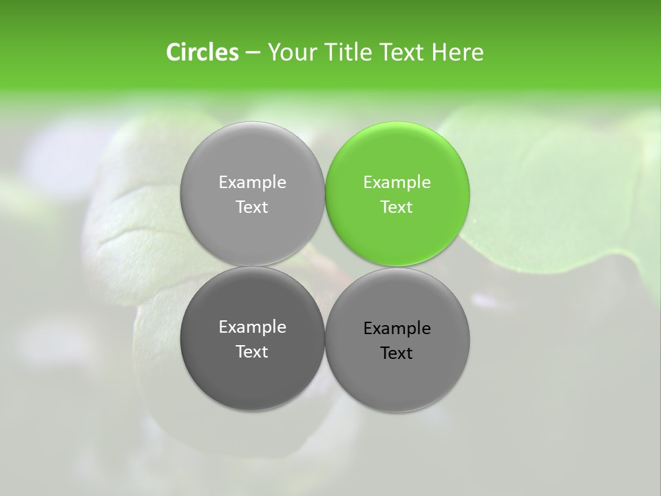 Macro Shot Of Micro Greens Micronutrients Micro Greens PowerPoint Template