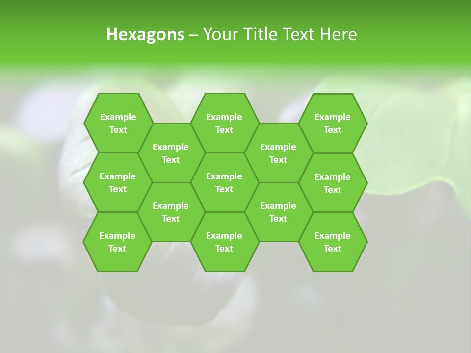 Macro Shot Of Micro Greens Micronutrients Micro Greens PowerPoint Template