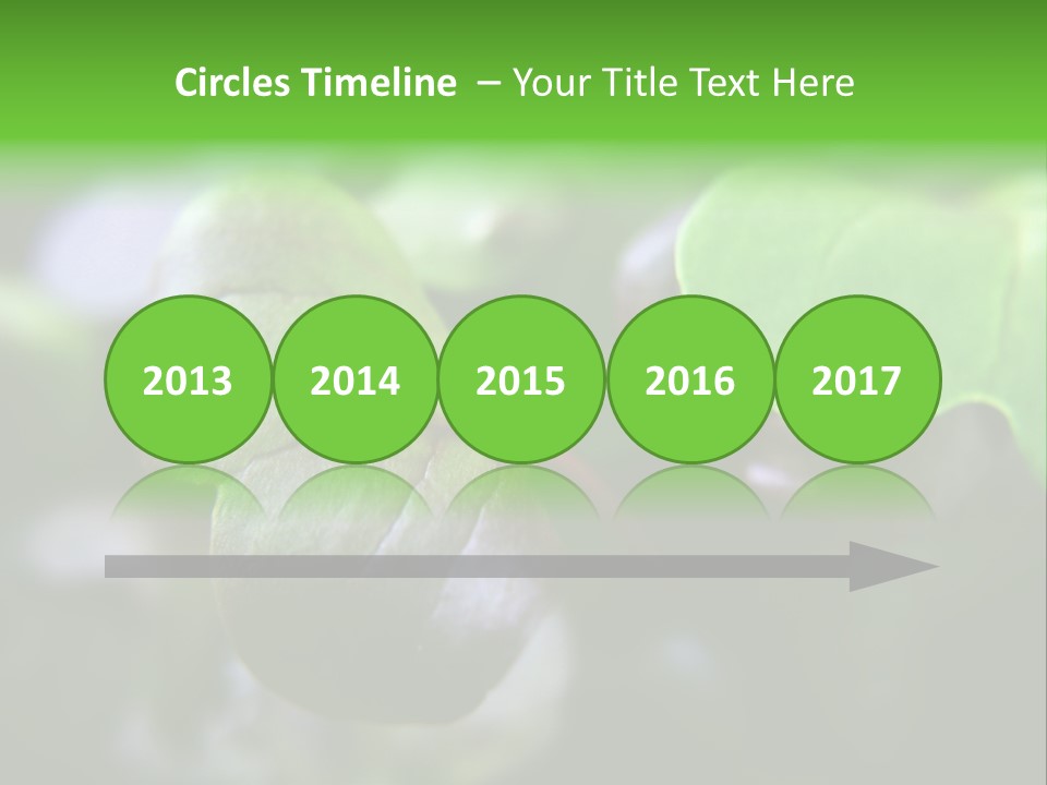 Macro Shot Of Micro Greens Micronutrients Micro Greens PowerPoint Template