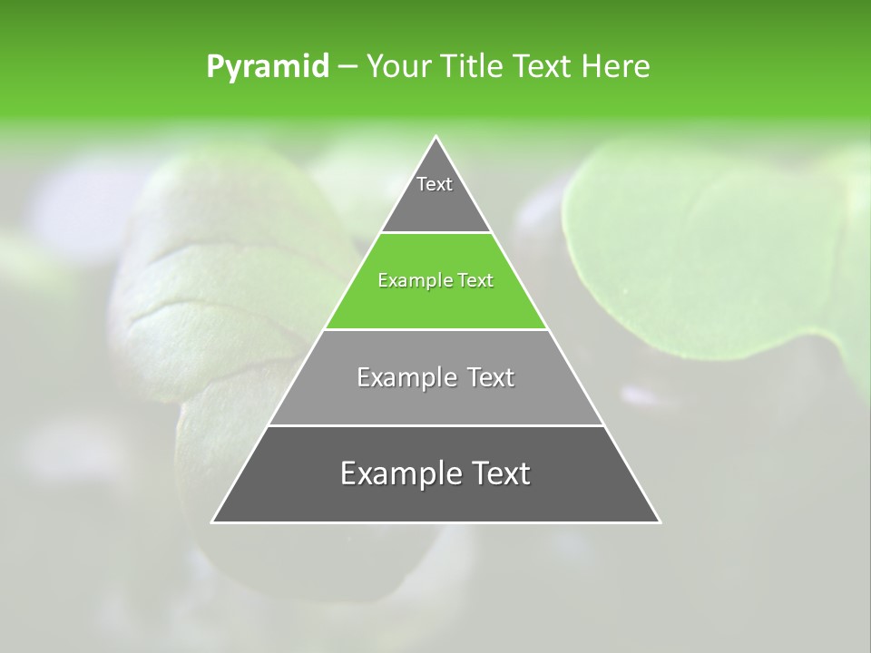 Macro Shot Of Micro Greens Micronutrients Micro Greens PowerPoint Template