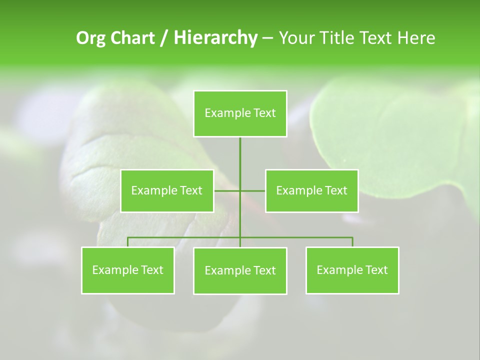 Macro Shot Of Micro Greens Micronutrients Micro Greens PowerPoint Template
