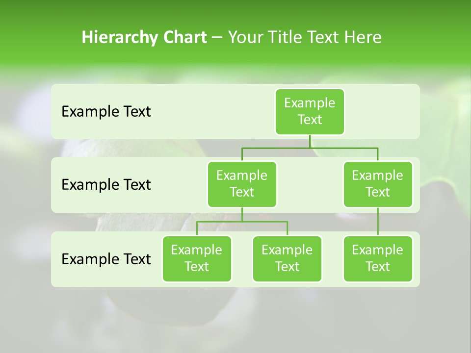 Macro Shot Of Micro Greens Micronutrients Micro Greens PowerPoint Template