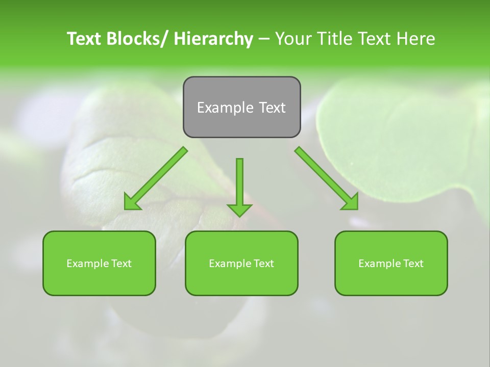 Macro Shot Of Micro Greens Micronutrients Micro Greens PowerPoint Template