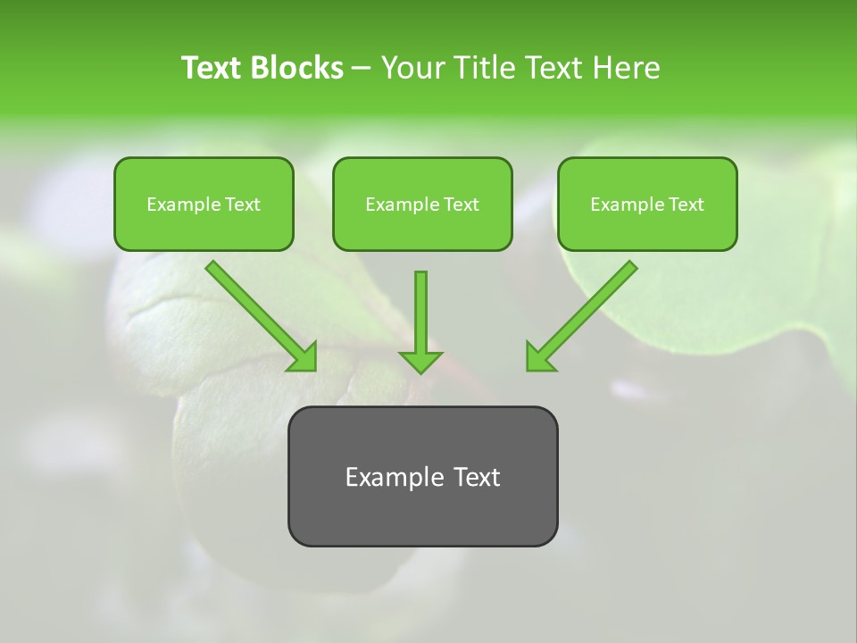 Macro Shot Of Micro Greens Micronutrients Micro Greens PowerPoint Template