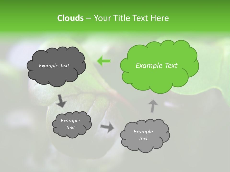 Macro Shot Of Micro Greens Micronutrients Micro Greens PowerPoint Template