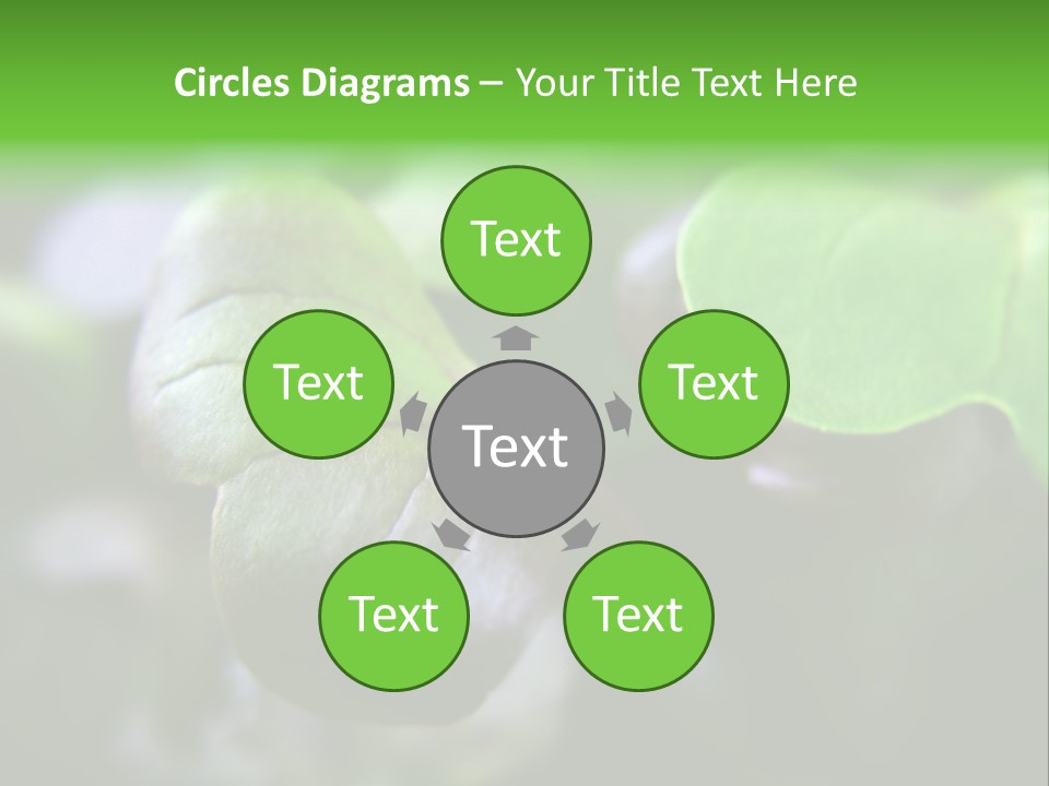 Macro Shot Of Micro Greens Micronutrients Micro Greens PowerPoint Template