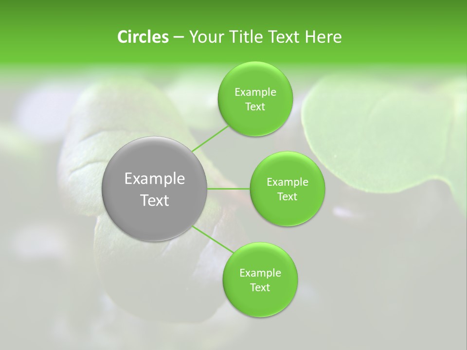 Macro Shot Of Micro Greens Micronutrients Micro Greens PowerPoint Template