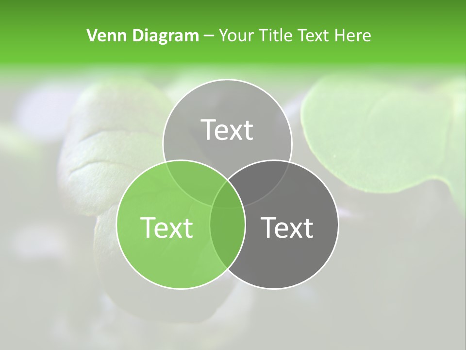 Macro Shot Of Micro Greens Micronutrients Micro Greens PowerPoint Template