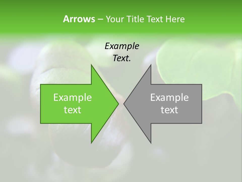 Macro Shot Of Micro Greens Micronutrients Micro Greens PowerPoint Template