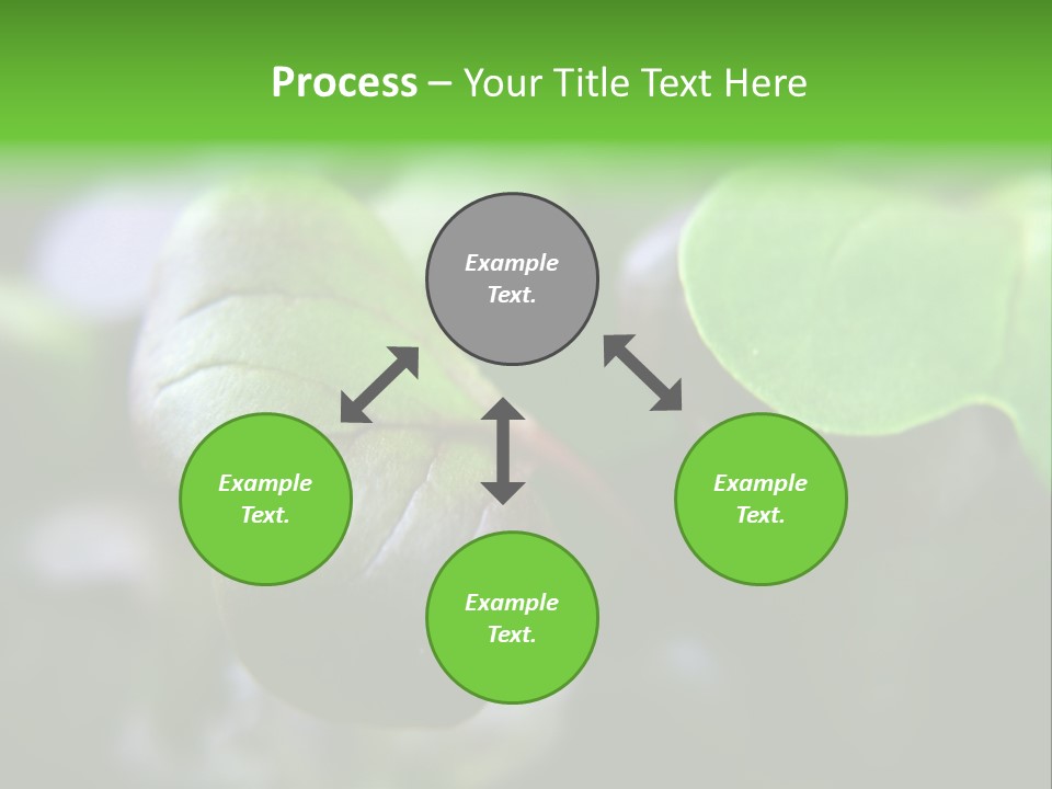 Macro Shot Of Micro Greens Micronutrients Micro Greens PowerPoint Template