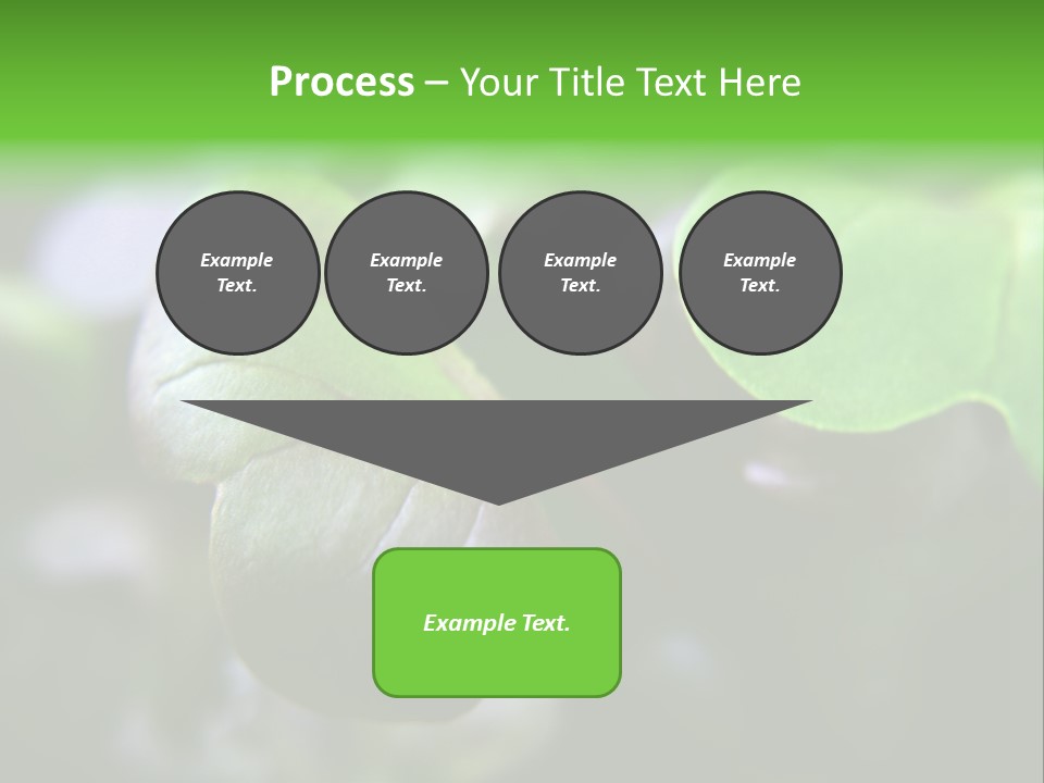 Macro Shot Of Micro Greens Micronutrients Micro Greens PowerPoint Template