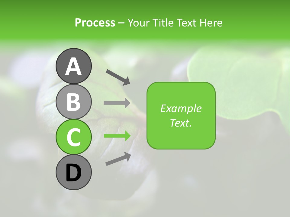 Macro Shot Of Micro Greens Micronutrients Micro Greens PowerPoint Template