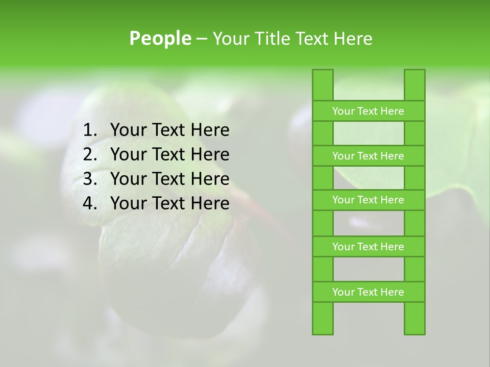 Macro Shot Of Micro Greens Micronutrients Micro Greens PowerPoint Template