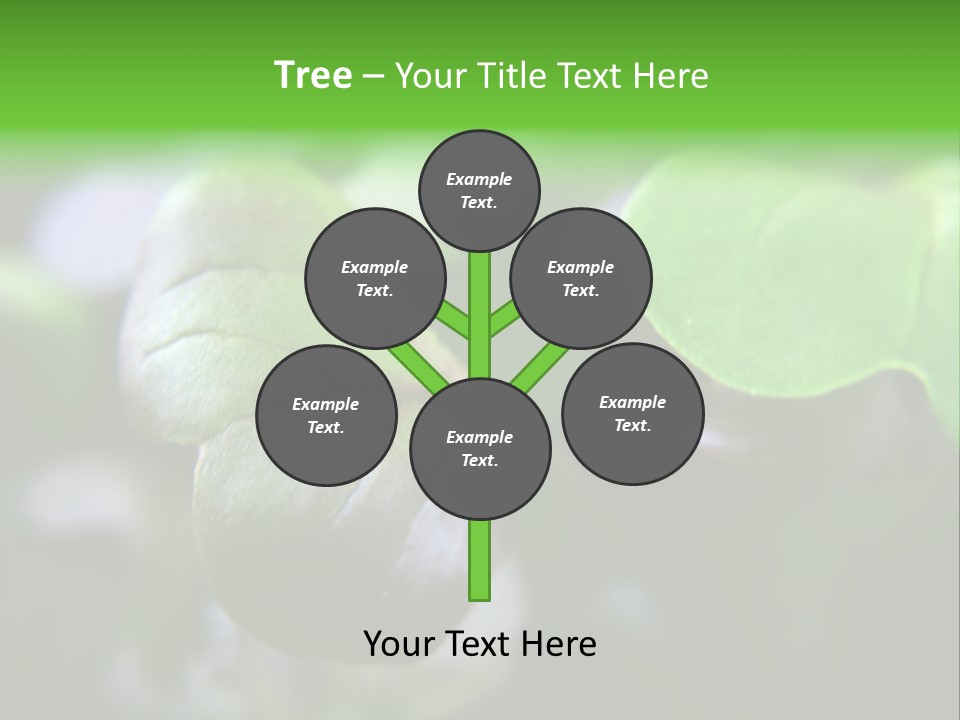 Macro Shot Of Micro Greens Micronutrients Micro Greens PowerPoint Template